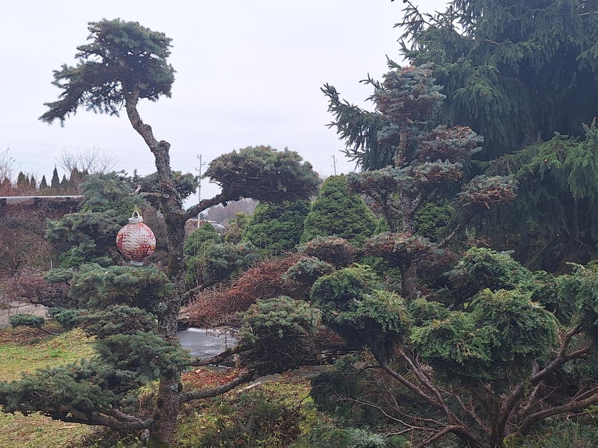 ホコ・ポホリェ Pohorje Zen Gardenヴィラ エクステリア 写真