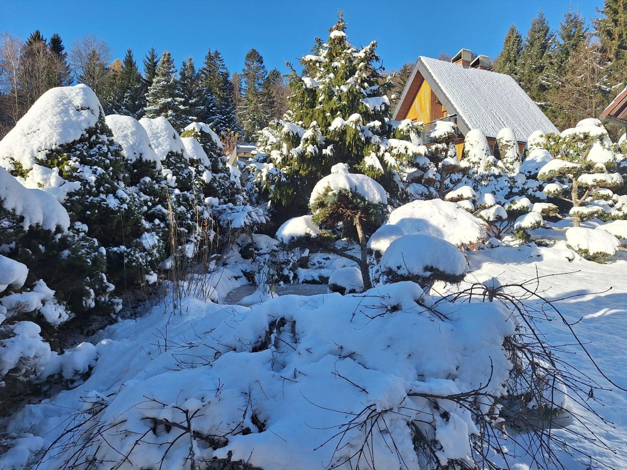 ホコ・ポホリェ Pohorje Zen Gardenヴィラ エクステリア 写真