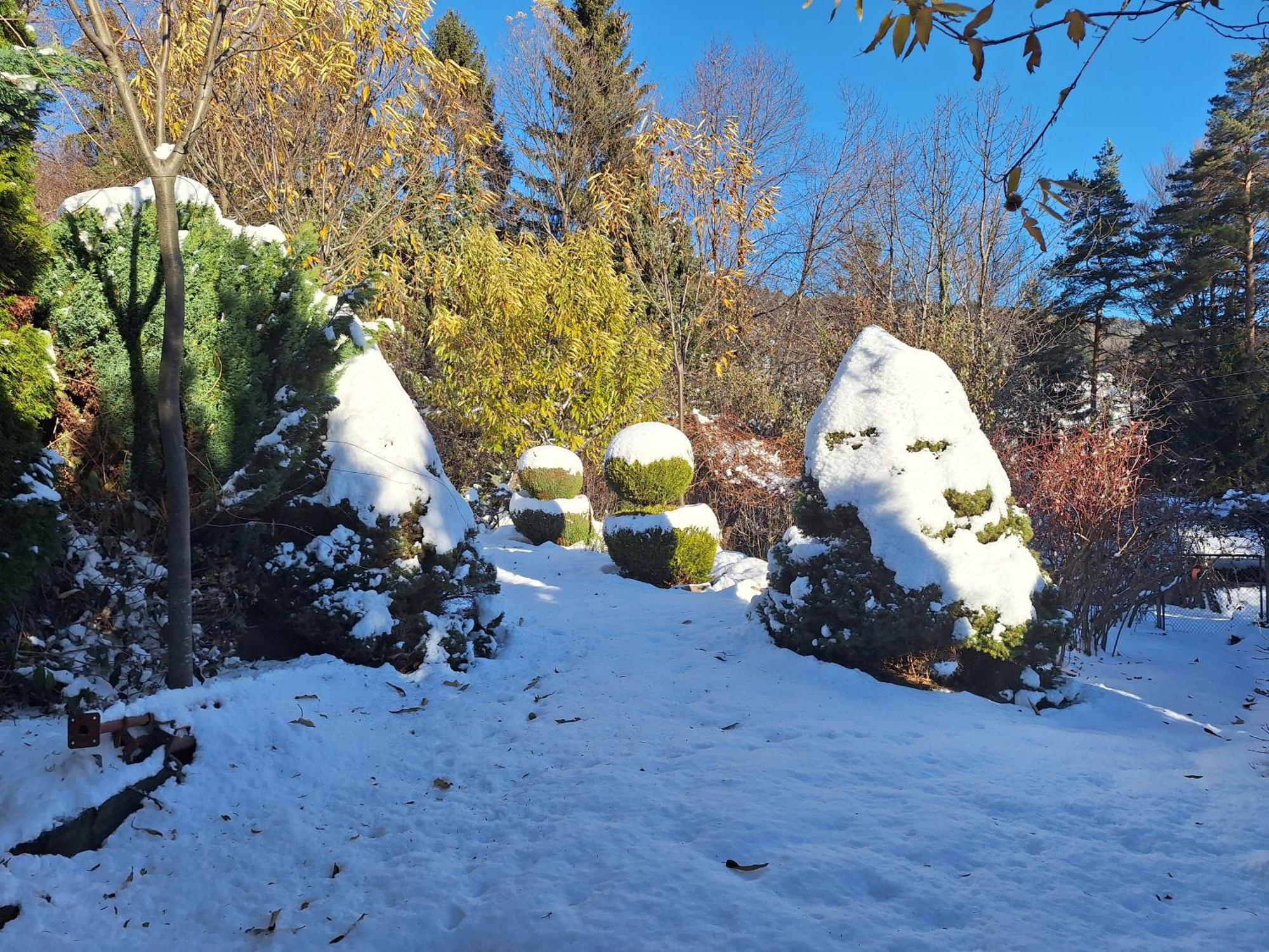 ホコ・ポホリェ Pohorje Zen Gardenヴィラ エクステリア 写真