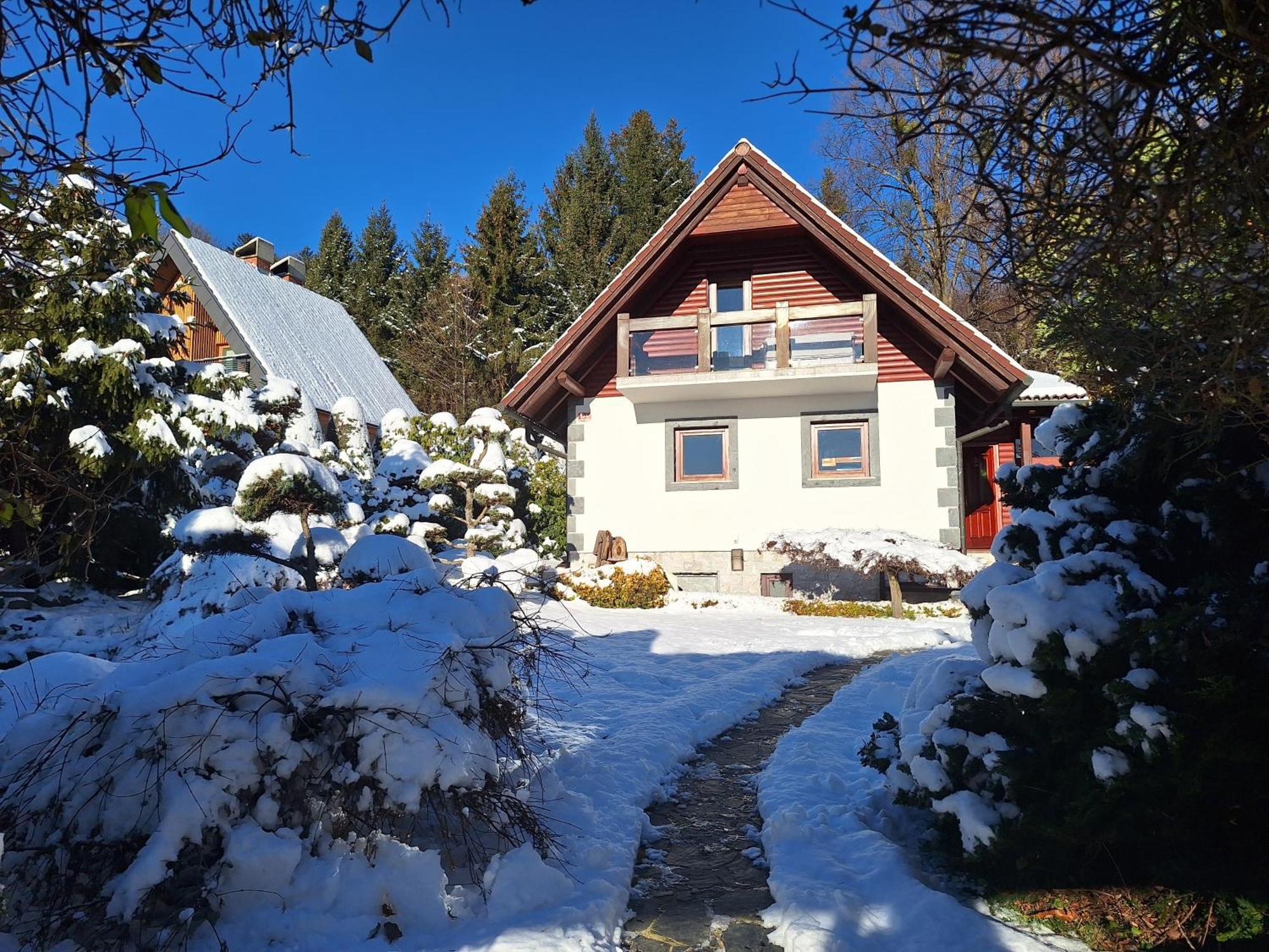 ホコ・ポホリェ Pohorje Zen Gardenヴィラ エクステリア 写真