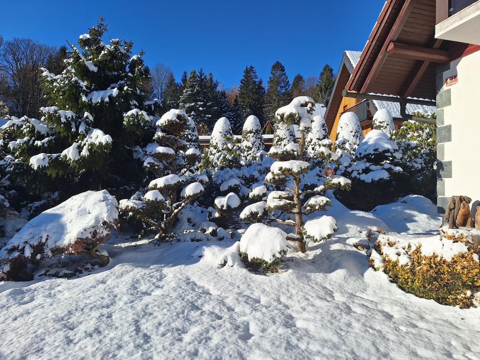 ホコ・ポホリェ Pohorje Zen Gardenヴィラ エクステリア 写真